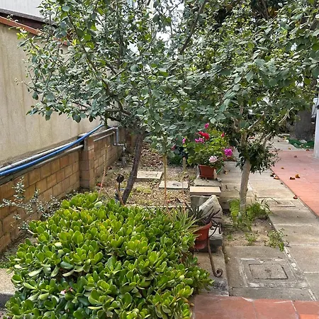 Mansamare Grosseto
